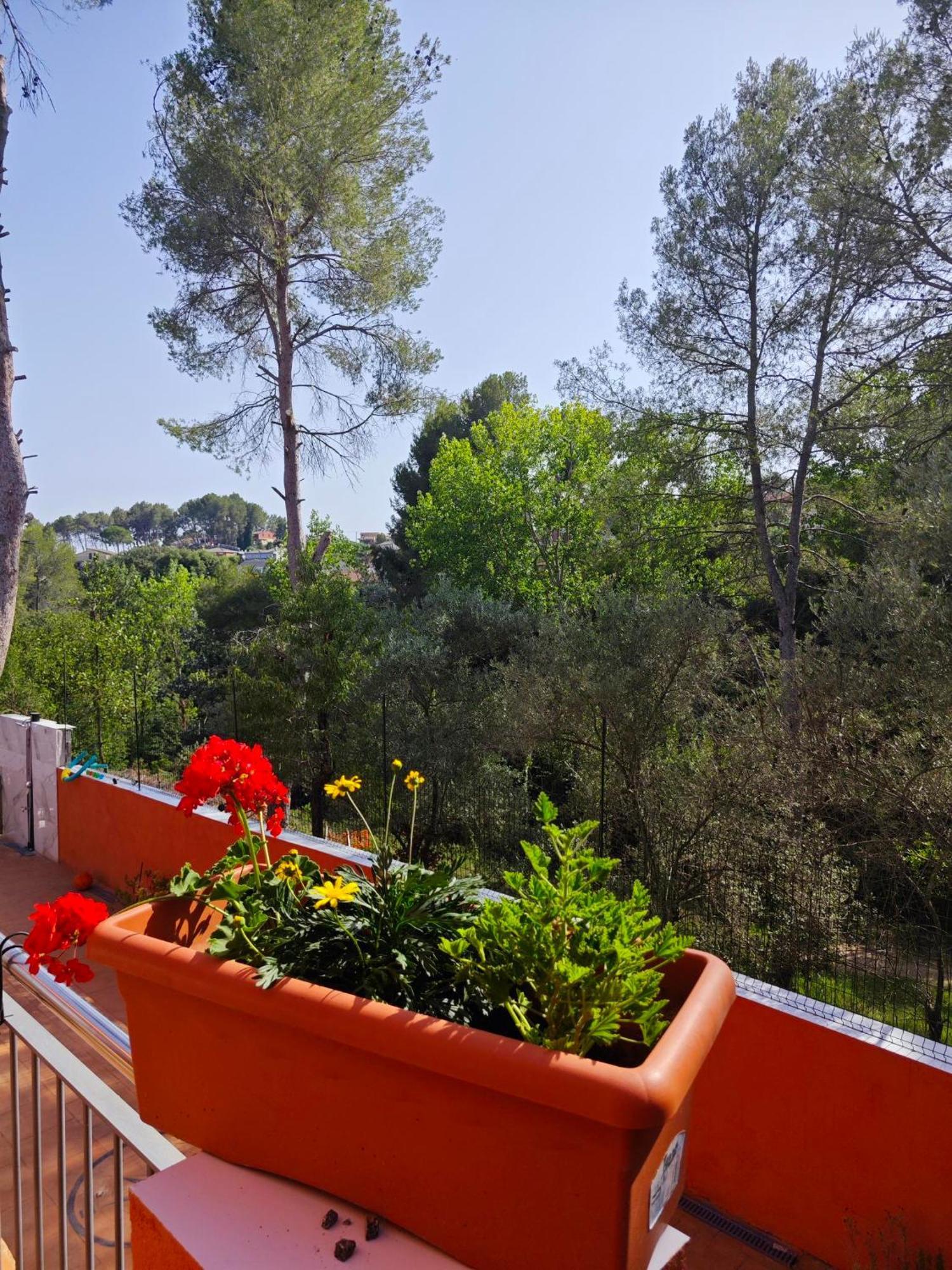Willa Relax House Barcelone Sant Esteve Sesrovires Zewnętrze zdjęcie